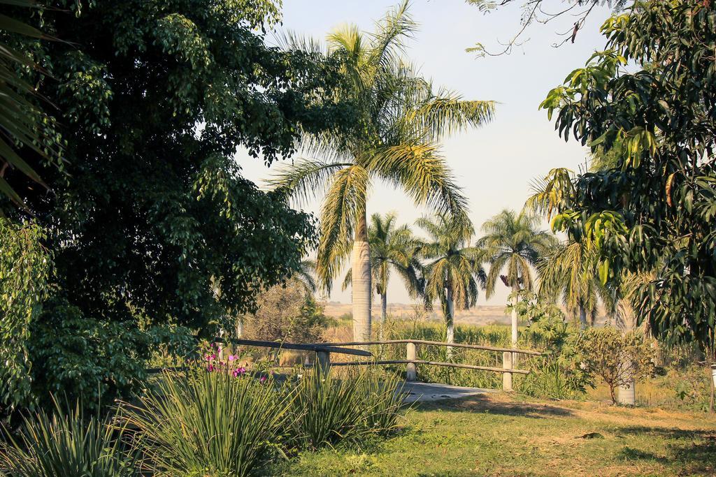 Hacienda San Gabriel De Las Palmas Amacuzac Dış mekan fotoğraf