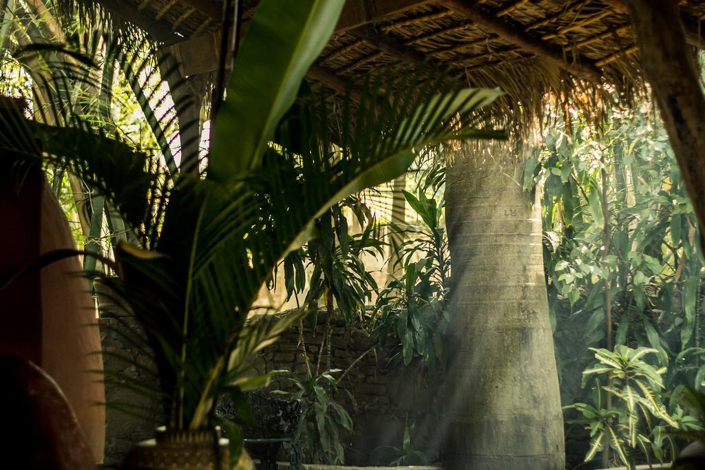 Hacienda San Gabriel De Las Palmas Amacuzac Dış mekan fotoğraf