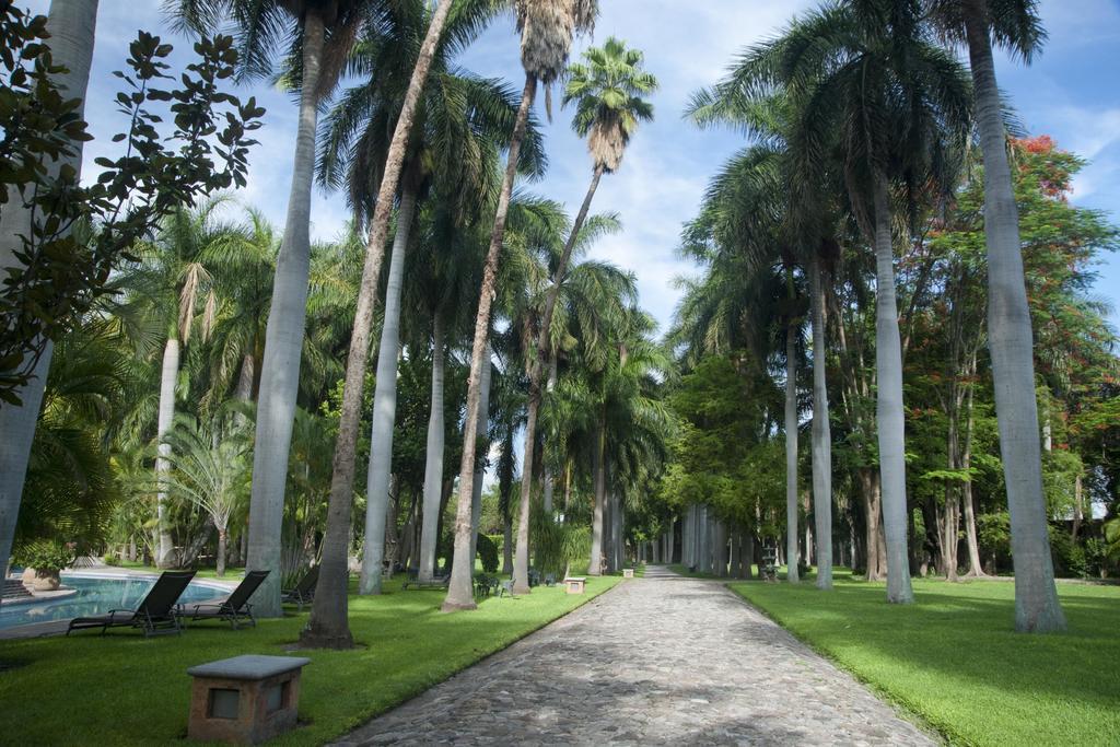 Hacienda San Gabriel De Las Palmas Amacuzac Dış mekan fotoğraf